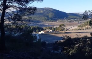 Alcoi aconsegueix una subvenció de 50.000 de Diputació per a la millora forestal en la muntanya Mas de la Cova i pintures rupestres de la Sarga