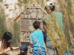 Activitats amb insectes i exposicions per a divulgar les Jornades de Ciència Ciutadana a la ciutat d’Alcoi
