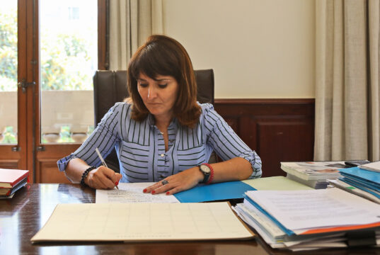 Julia Parra, Diputada de Transparència