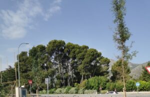 Obres de millora al Poligon El Pi
