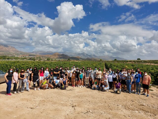 Imatge d'arxiu d'una visita a les vinyes del Vinalopó