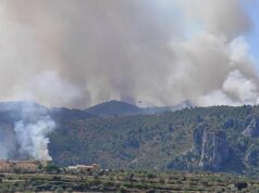 Incendi de la Vall d'Ebo de 2022 a l'altura de Margarida.