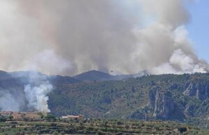 Incendi de la Vall d'Ebo de 2022 a l'altura de Margarida.