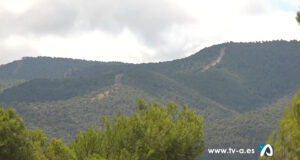 Imatge de zona forestal a Tibi