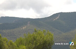 Imatge de zona forestal a Tibi