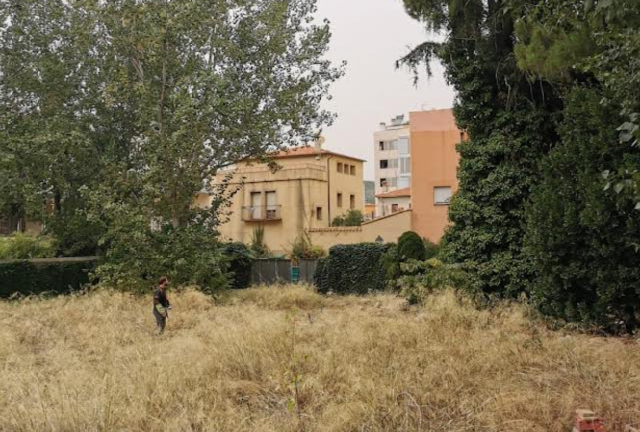 Terrenys descuidats al solar municipal Xillibre.