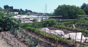 Hort Urbà d'Alcoi