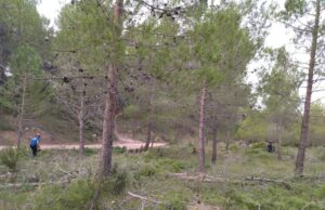 Parc Natuaral de Sant Pasqual d'Ibi.