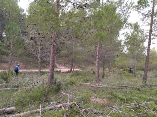 Parc Natuaral de Sant Pasqual d'Ibi.