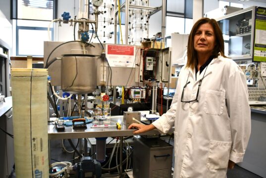 María Fernanda López, investigadora del Capus d'Alcoi de la UPV