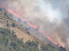 Imatge de l'incendi a les faldes de la Fonr Roja, al paratge de Sant Pasqual d'Ibi