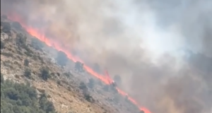 Imatge de l'incendi a les faldes de la Fonr Roja, al paratge de Sant Pasqual d'Ibi