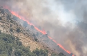 Imatge de l'incendi a les faldes de la Fonr Roja, al paratge de Sant Pasqual d'Ibi