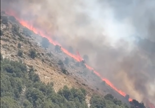Imatge de l'incendi a les faldes de la Fonr Roja, al paratge de Sant Pasqual d'Ibi