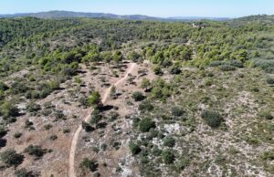 Alcoi reforça la prevenció d’incendis amb la creació d’un tallafocs entre els Masos del Pla i dels Capellans