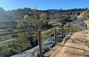 El corredor verd entre la Zona Nord i el riu Serpis avança amb la restauració de l’entorn fluvial d’Alcoi