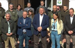 La Serra Mariola, elegida com a localització en la que recuperar la presència del linx ibèric en 2028 a la Comunitat