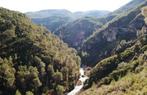 Medi Ambient prohibeix fer foc a menys de 500m de qualsevol superfície forestal entre el 2 i el 13 d’abril