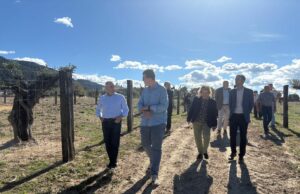 Agricultura reivindica a Alfafara la ramaderia extensiva com a defensa contra el despoblament i els incendis