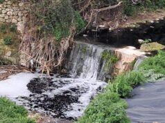 Els ecologistes presenten l’enèsima denúncia per contaminació als rius Riquer i Serpis al seu pas per Alcoi