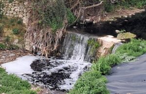 Els ecologistes presenten l’enèsima denúncia per contaminació als rius Riquer i Serpis al seu pas per Alcoi