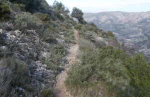 Diputació llança ajudes per valor de 400.000€ destinades a la millora de senders i paratges naturals alacantins