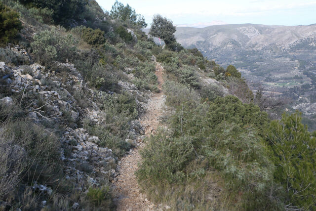 Un dels senders susceptibles de rebre ajudes mediambientals per part de la Diputació d'Alacant