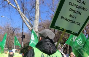 ASAJA avisa: fins al 80% de la collita d’ametla i vinya està en risc per la sobrepoblació de conills i pocs senglars