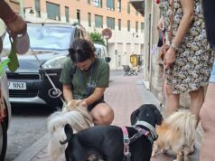 Ja estan en marxa les brigades informatives sobre benestar animal pels barris d’Alcoi