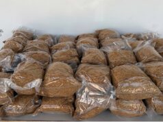 Denunciat un home per contraban de 60 quilos de tabac il·legal durant els Moros i Cristians de Cocentaina