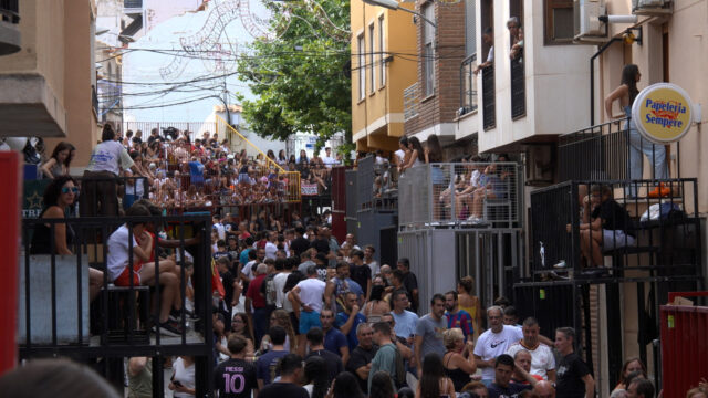 vaca castalla