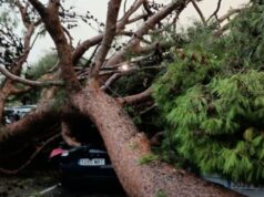 Alcoi concentra 32 actuacions per la rebentada tèrmica amb arbres tombats i destrosses en sostres, façanes i vehicles